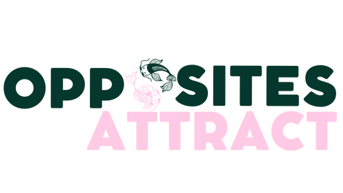 Opposites Attract Boutique